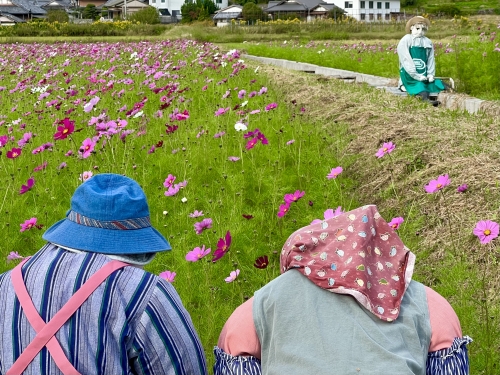 写真 2022-10-22 8 27 47.jpg